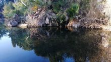 Il fiume Ciane